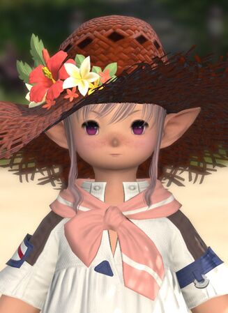 Portrait for Island Sanctuary