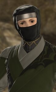 Liberation Front Sentry