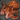Giant Koromo Octopus