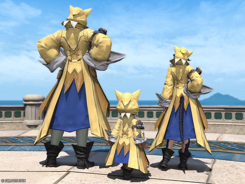 File:Scion Hearer's Attire3.jpg