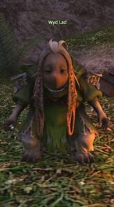 Wyd Lad