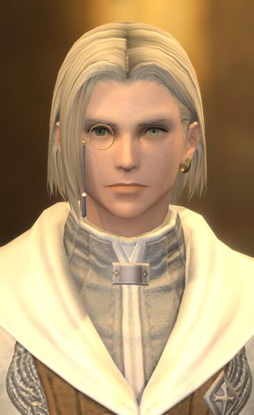 File:Adventurers' Guild Emissary.jpg