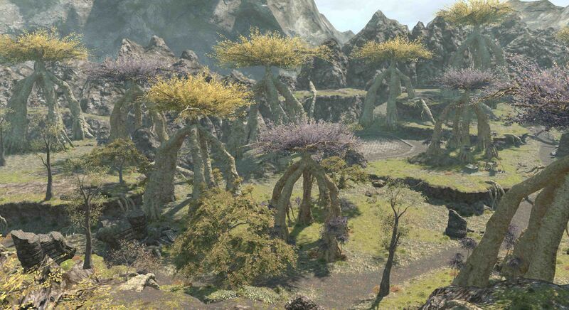 File:Chocobo Forest.jpg