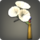 White morning glory corsage icon1.png