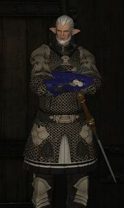 Veteran Temple Knight