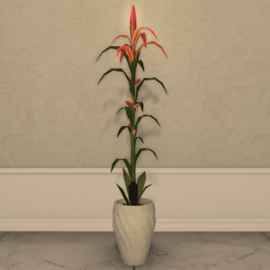 Cieldalaes Planter