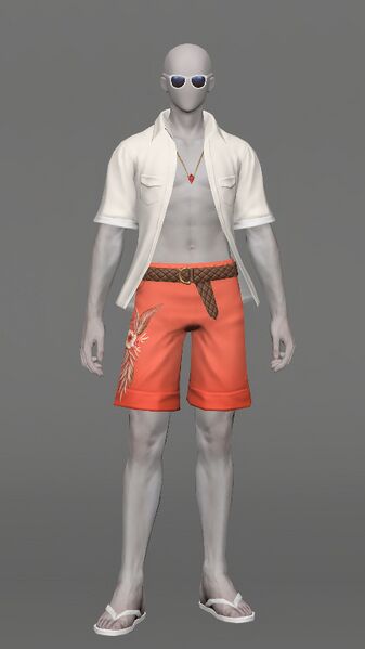 File:Endless Summer Attire Male.jpeg