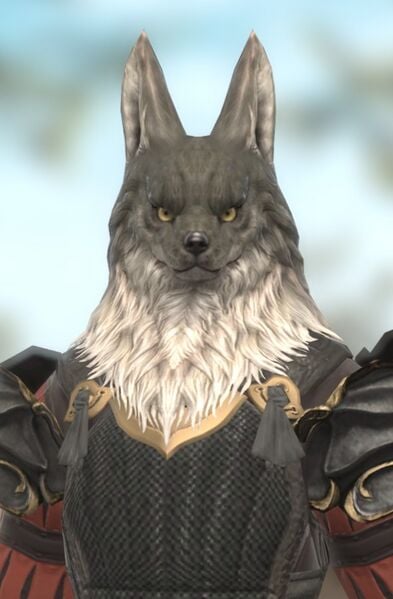 File:Hakuro Whitefang.jpg