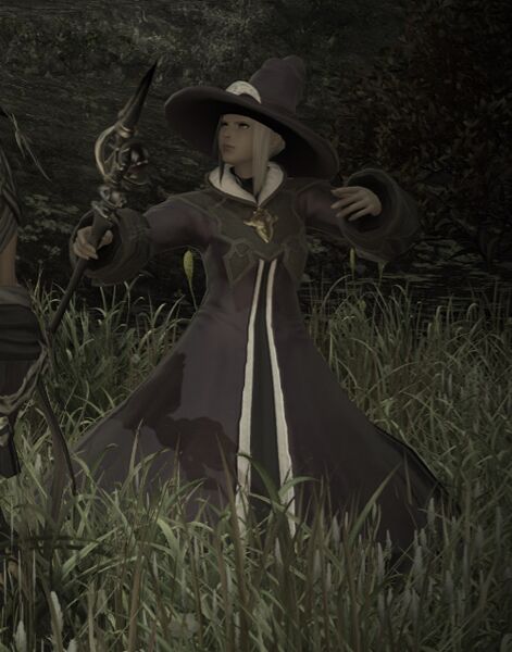File:Hired Thaumaturge.jpg
