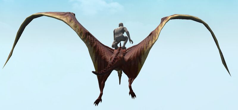 File:Pteranodon rear.jpg