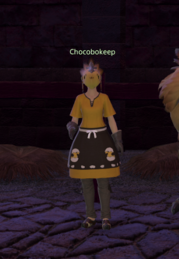 Chocobokeep Revenant's Toll.png