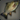 Cosmocarp