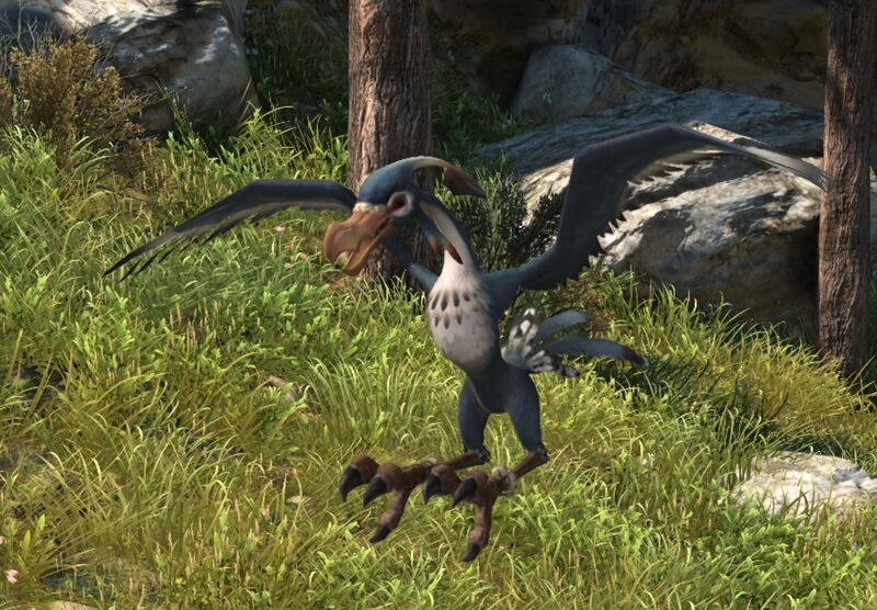 File:Bald Buzzard.jpg