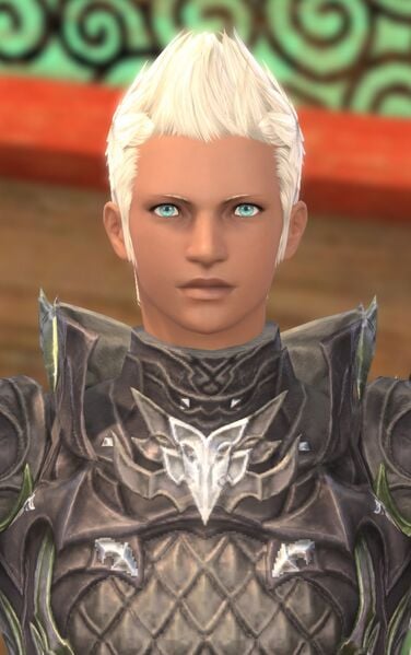 File:Radiant Soldier.jpg