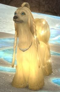 Argos (NPC)