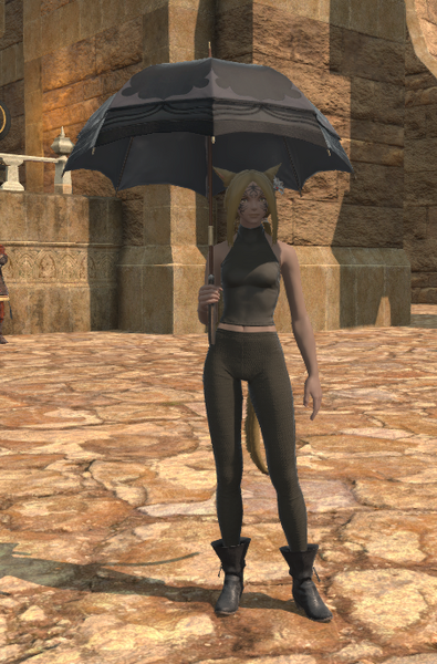 File:Parasol front.png