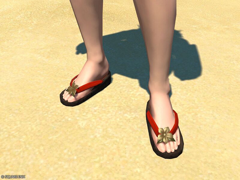 File:Lady's Clogs1.jpg