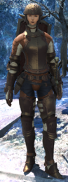 Seasoned Adventurer (Elezen).png