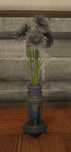 Black Cornflowers