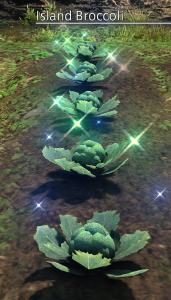 File:Island Broccoli Mature.png