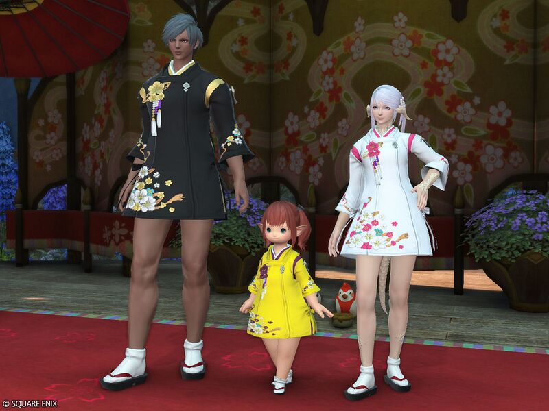 File:Lady's Suikan Set4.jpg