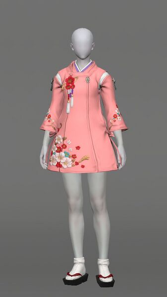 File:Lady's Suikan Set Female.jpeg