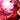 Jolt II