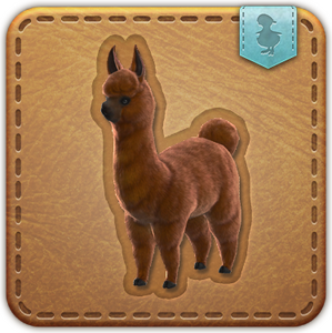 Musical Paca