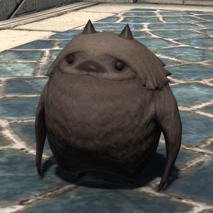 Shaggles