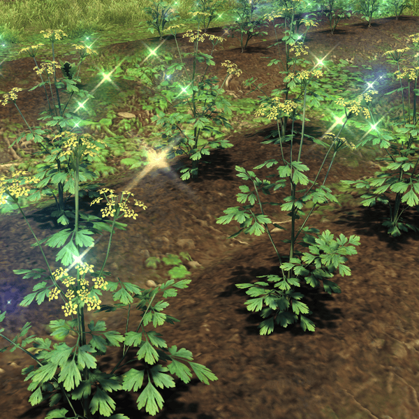 File:Island Parsnip Top.png