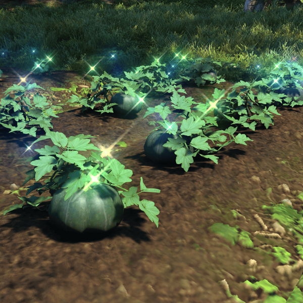 File:Island Pumpkin Top.png