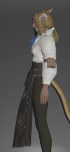 Armorer's Gown left side.png