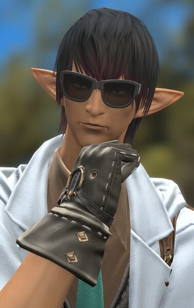 File:Bespectacled Elezen.jpg