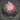 Pink Granny Nickel