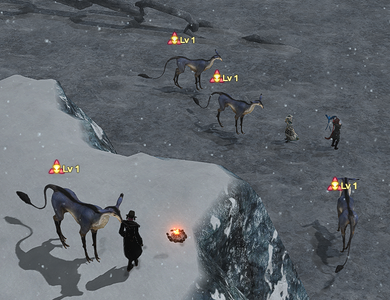 A pack of wild   near Dusk Vigil.