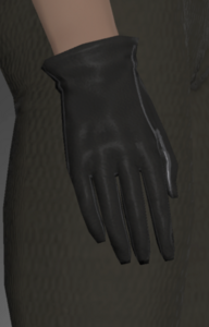 Lakeland Gloves of Healing right side.png