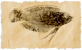 Thumbnail for version as of 17:10, 28 April 2026