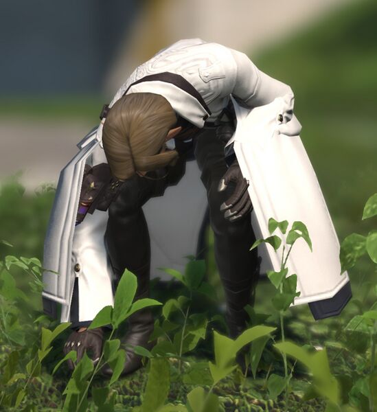 File:Distracted Researcher fullbody.jpg