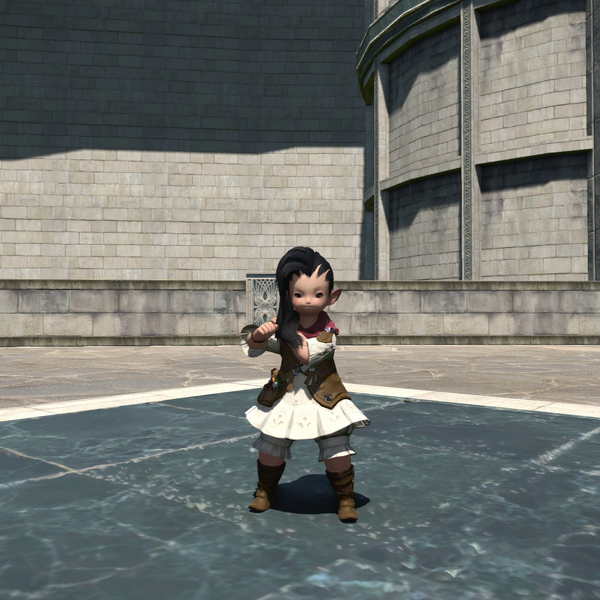 File:Limber Up Emote.png