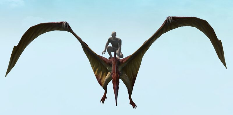 File:Pteranodon front.jpg