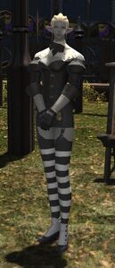 Continental Circus Publicist