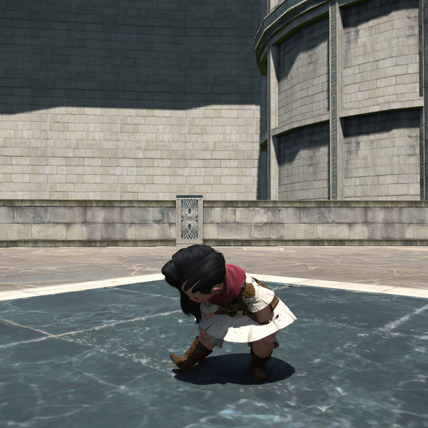 File:Eastern Stretch Emote.png