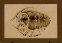 Giant Aetherlouse print.png