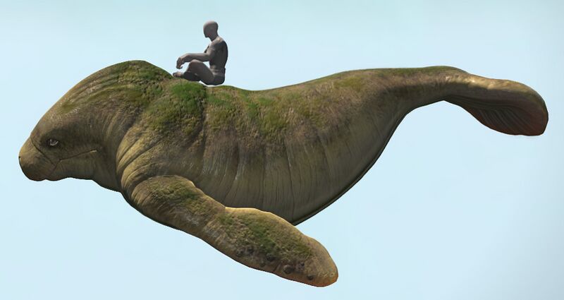 File:Punutiy side.jpg