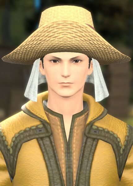 File:Bothered Beekeeper.jpg