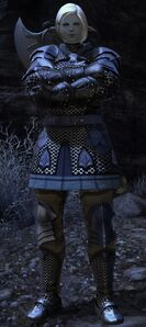 Experienced Adventurer