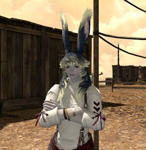 Walmet