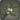 West bank mistletoe icon1.png