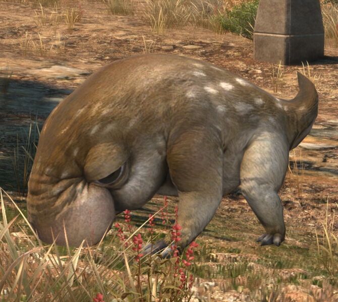 File:Naked Shrew.jpg