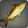 Corn dace icon1.png